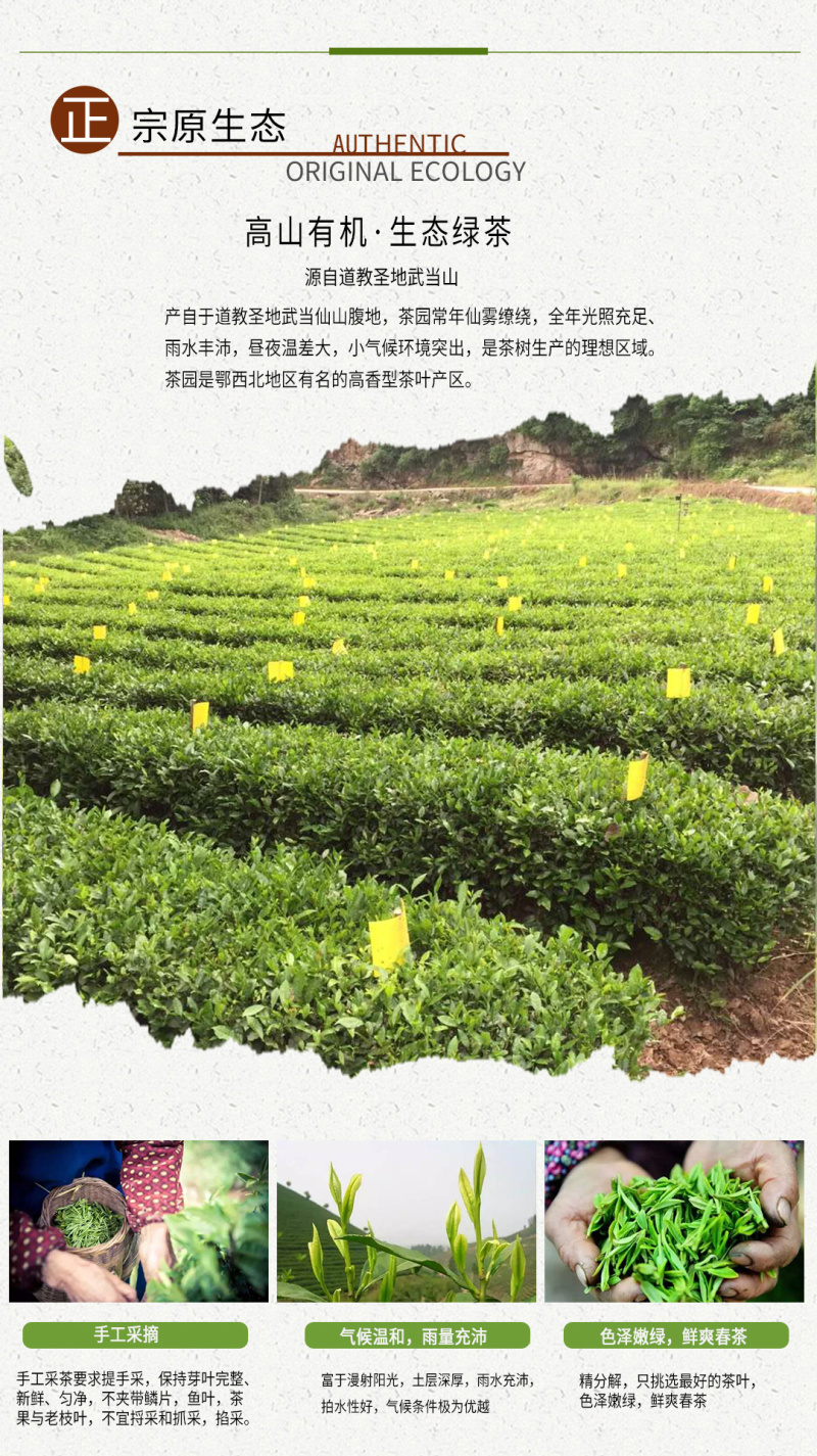 武当龙箭•武当道茶简装红茶150g*2袋