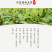 武当龙箭•武当道茶简装红茶150g*2袋