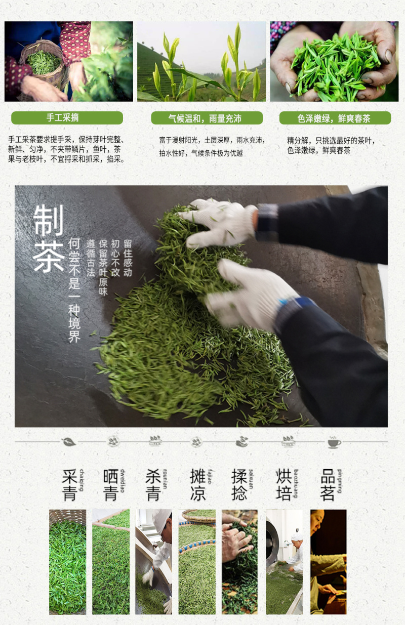 武当龙箭•武当道茶简装绿茶150g*2袋