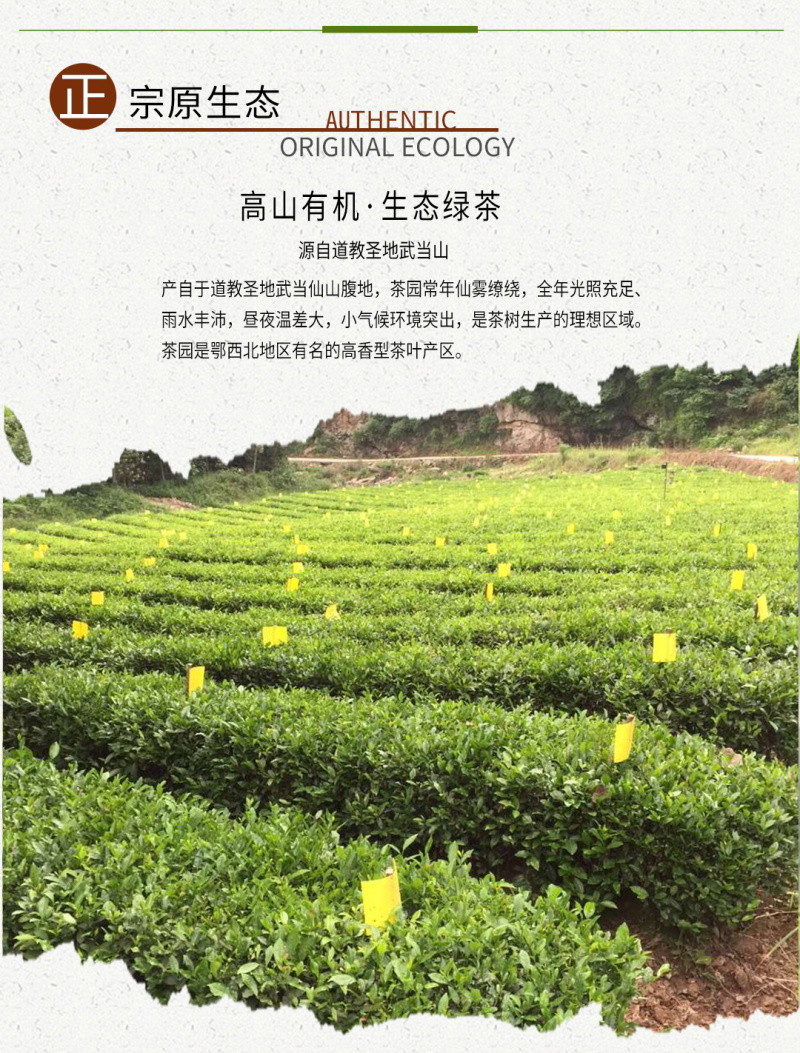 武当龙箭•武当道茶礼盒黑盒精装绿茶一提两盒