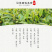 武当龙箭•武当道茶礼盒黑盒精装绿茶一提两盒