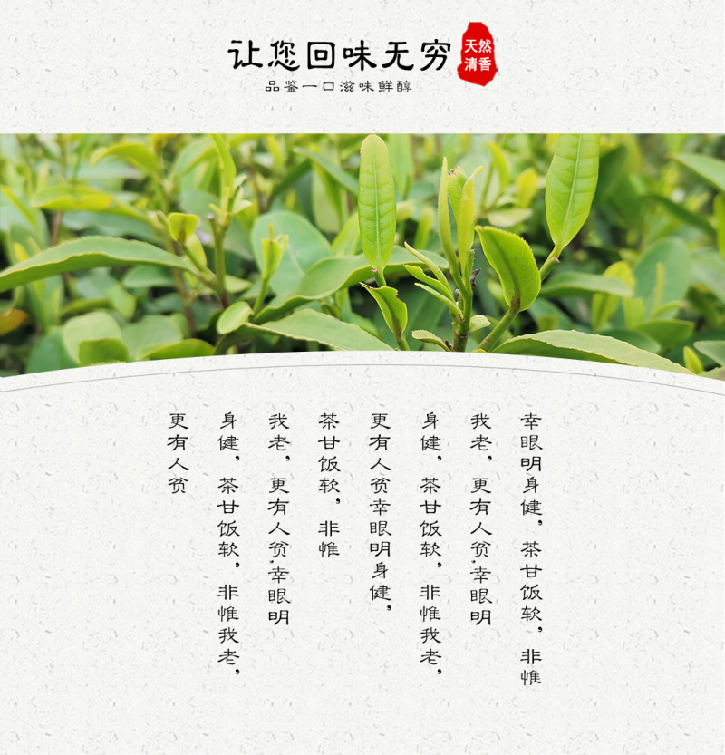 武当龙箭•武当道茶礼盒黑盒精装绿茶一提两盒