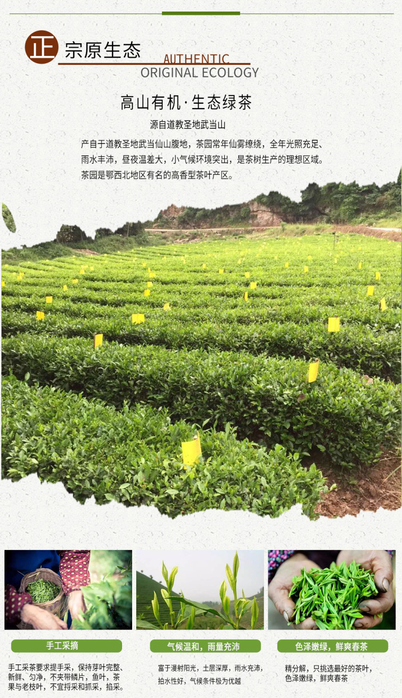 武当龙箭•武当道茶礼盒金盒简装绿茶一提两盒