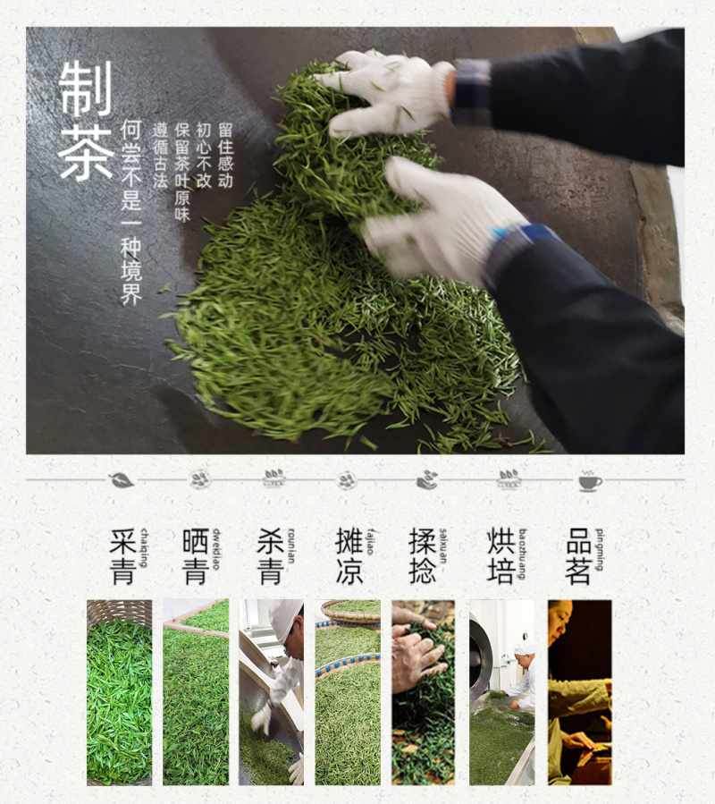 武当龙箭•武当道茶礼盒金盒简装绿茶一提两盒