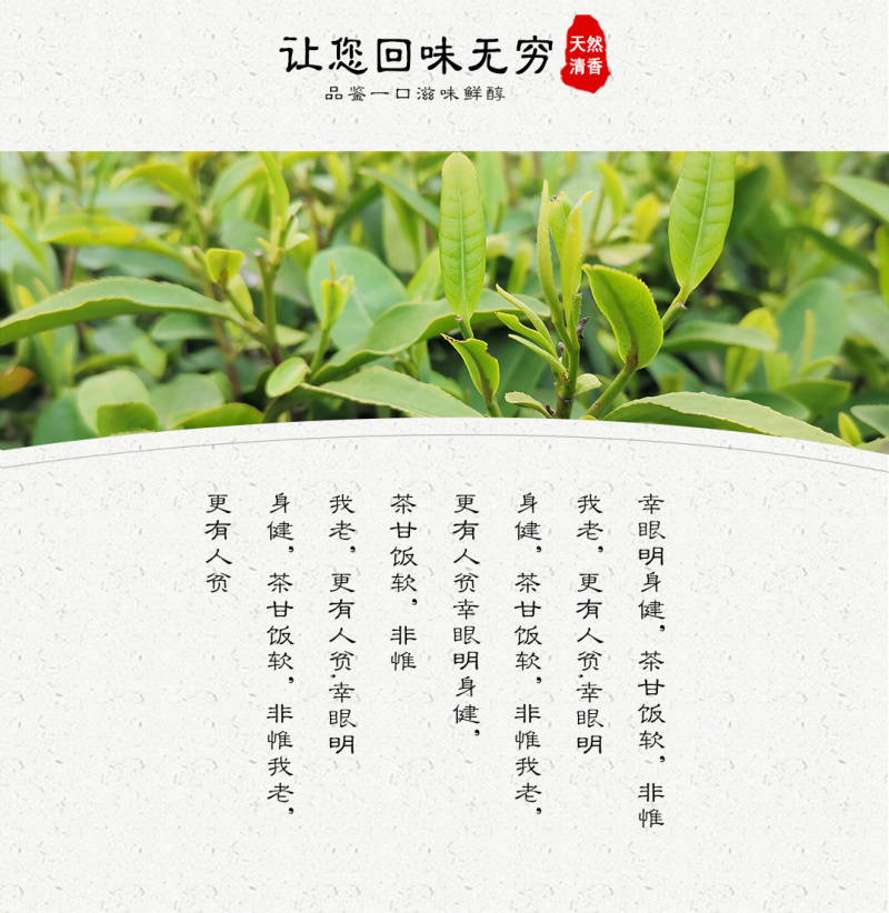 武当龙箭•武当道茶礼盒金盒简装绿茶一提两盒