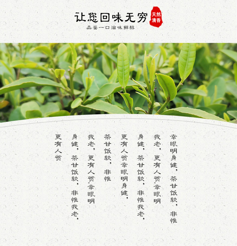 武当龙箭·武当道茶绿茶青砖茶六斤重