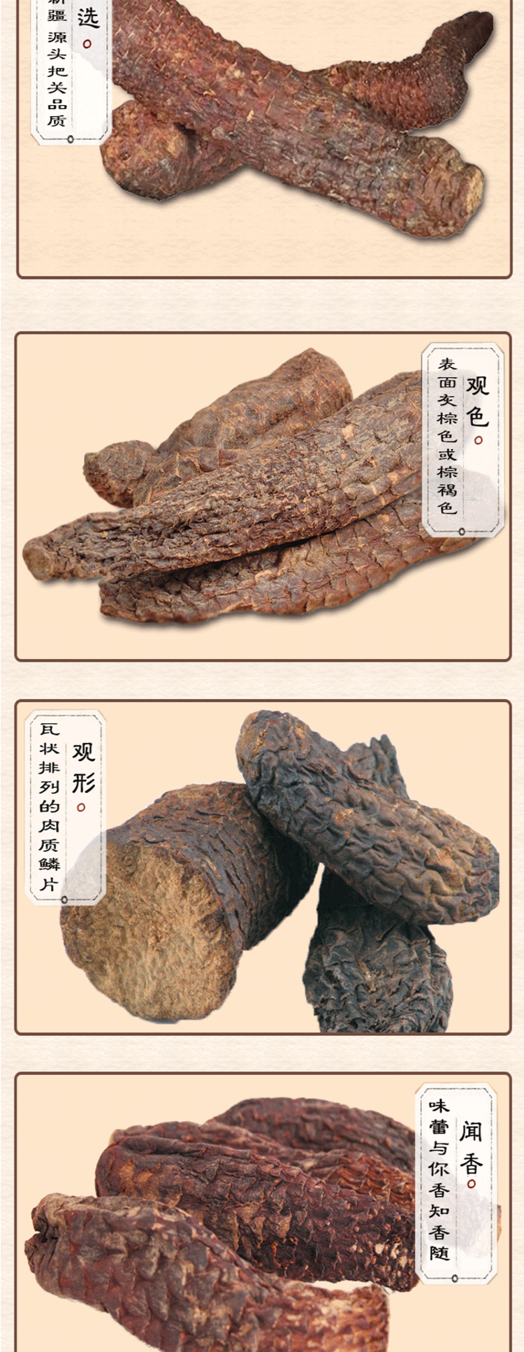 肉苁蓉新疆和田大芸新鲜肉从蓉500g包邮