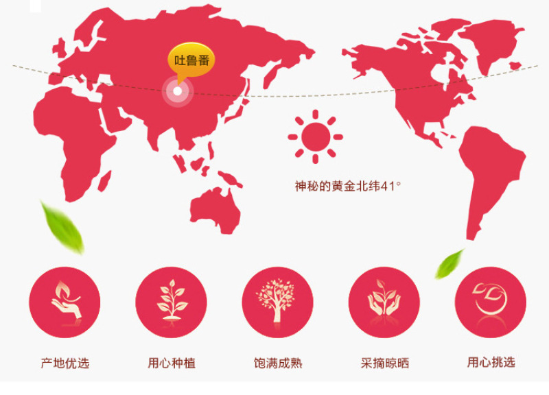 新疆吐鲁番特等黑桑葚干原味水果干果脯养生休闲零食