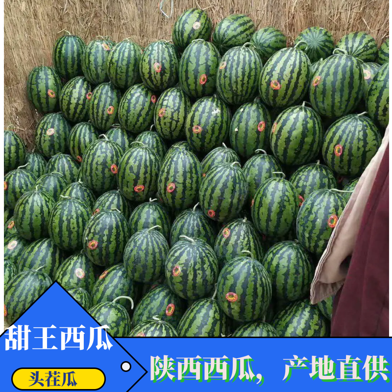 【优质货源】甜王西瓜一茬瓜，陕西西瓜-产地直供