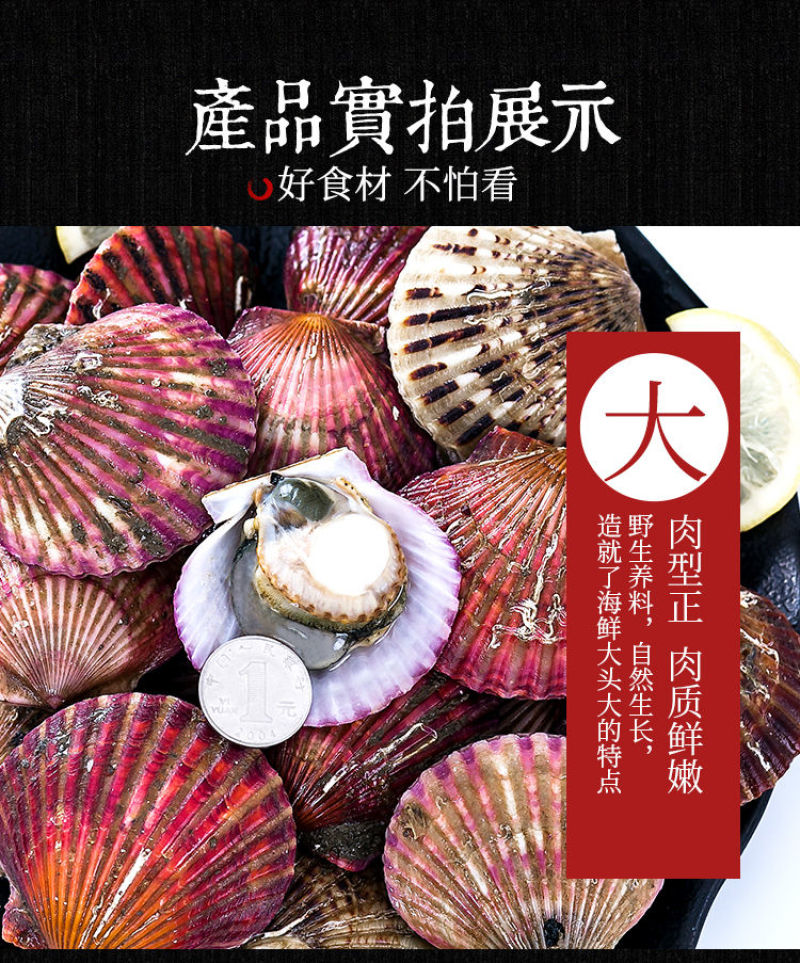 包邮一件代发买4送1现捞扇贝小红贝无沙