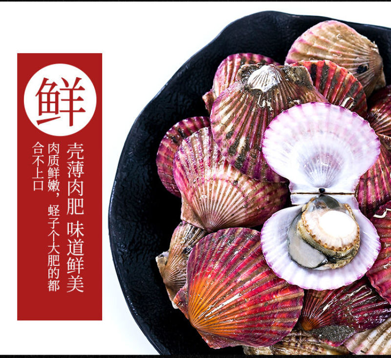 包邮一件代发买4送1现捞扇贝小红贝无沙