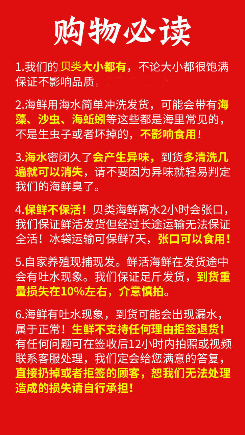 包邮一件代发买4送1现捞扇贝小红贝无沙