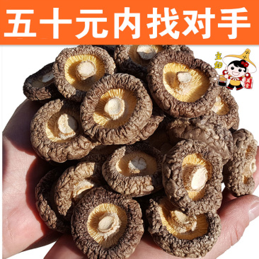 包邮★一件代发★干香菇小磨菇冬菇★平剪脚精选新货