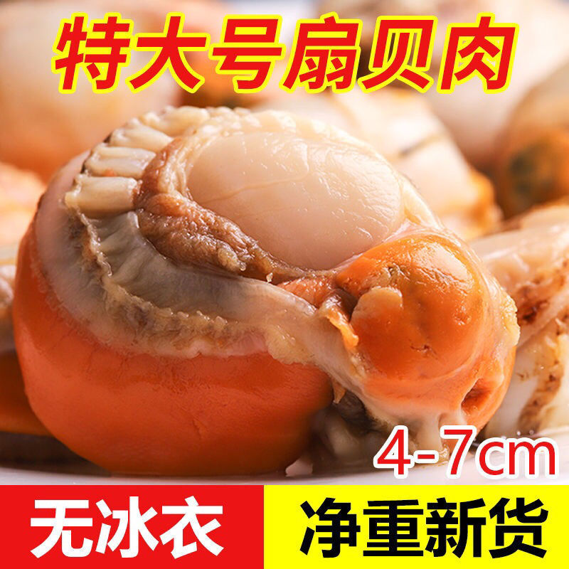 顺丰包邮一件代发海捕扇贝肉无冰特大号35-55粒