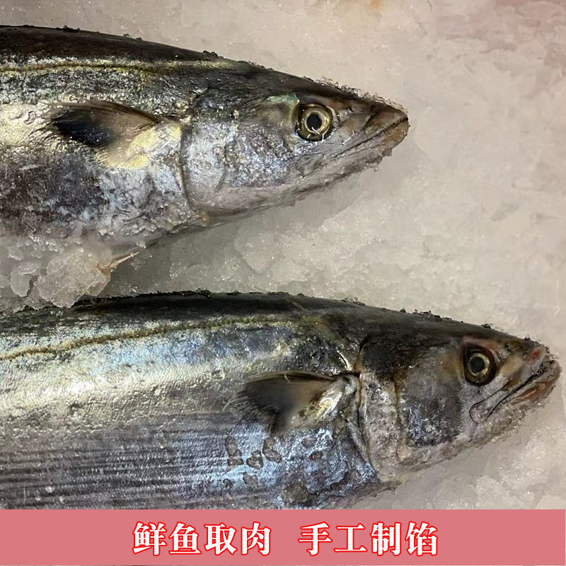 包邮一件代发新鲜鲅鱼肉馅水饺馅鱼滑5斤/件