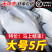 顺丰包邮一件代发海捕新鲜银鲳鱼3-12条/斤