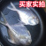 顺丰包邮一件代发海捕新鲜银鲳鱼3-12条/斤