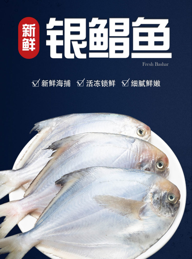 顺丰包邮一件代发海捕新鲜银鲳鱼3-12条/斤