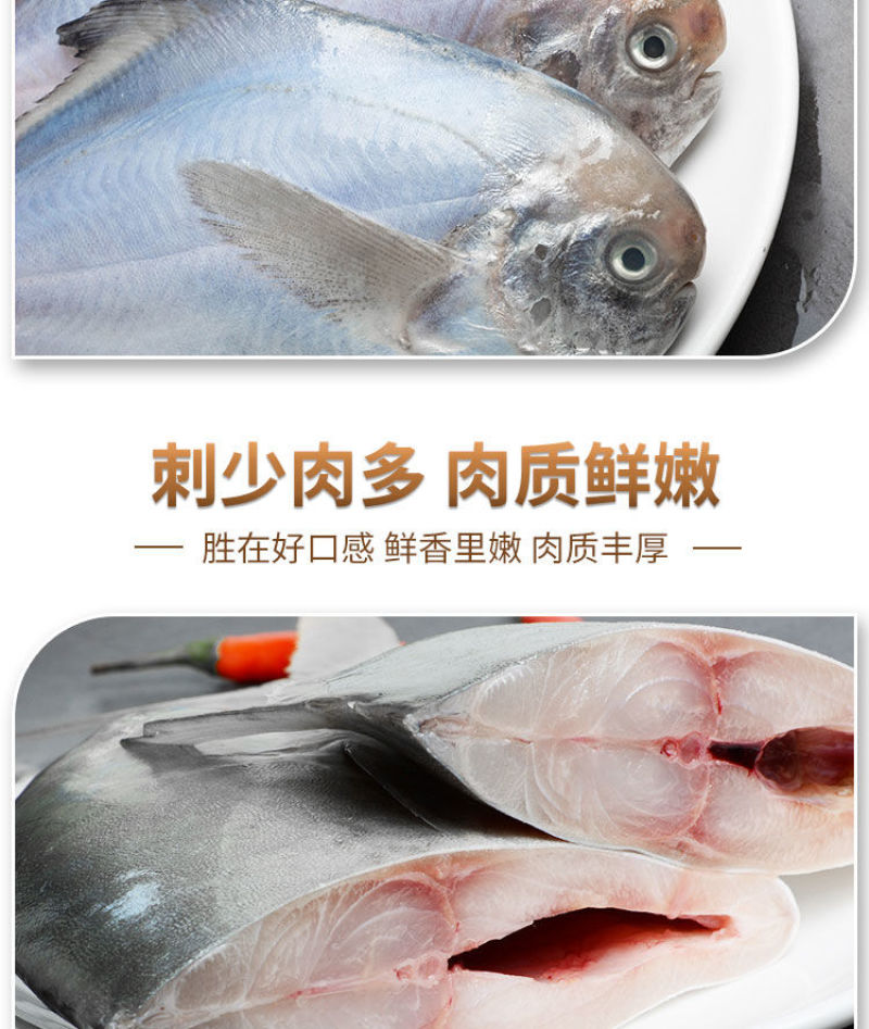 顺丰包邮一件代发海捕新鲜银鲳鱼3-12条/斤