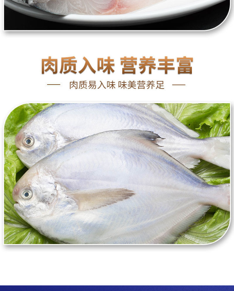 顺丰包邮一件代发海捕新鲜银鲳鱼3-12条/斤