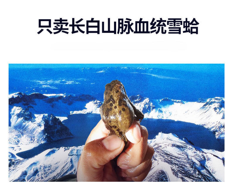 包邮一件代发东北吉林雪蛤林蛙油蛤蟆油12g