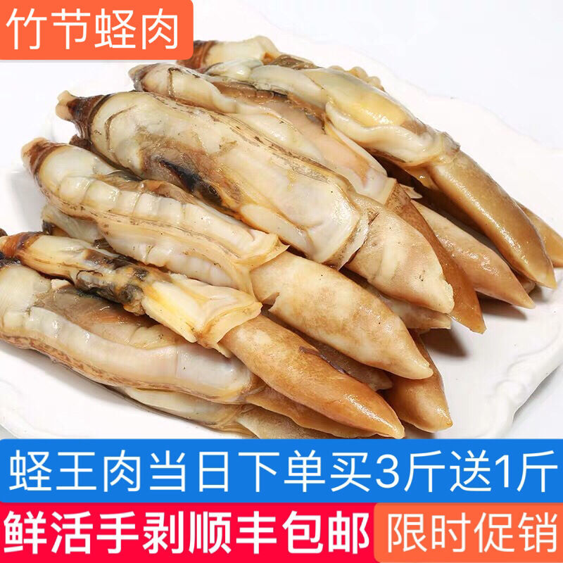 顺丰包邮一件代发鲜活现剥蛏子竹蛏子蛏王肉无冰衣