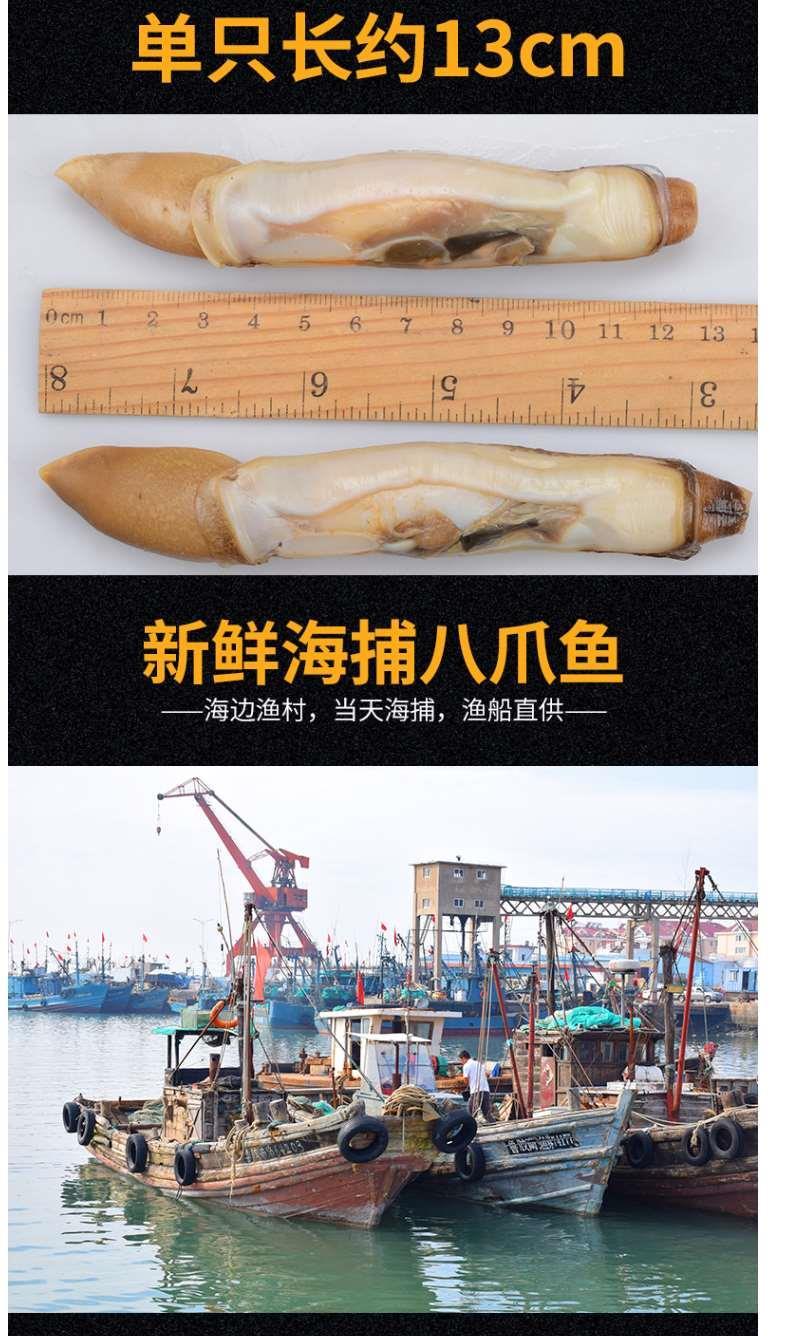 顺丰包邮一件代发鲜活现剥蛏子竹蛏子蛏王肉无冰衣