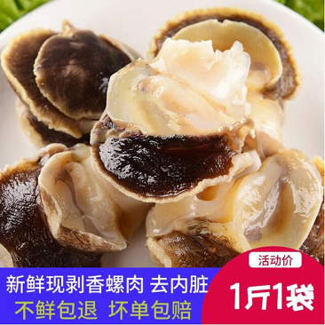 包邮一件代发现剥香螺肉海螺肉去内脏