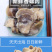 包邮一件代发现剥香螺肉海螺肉去内脏