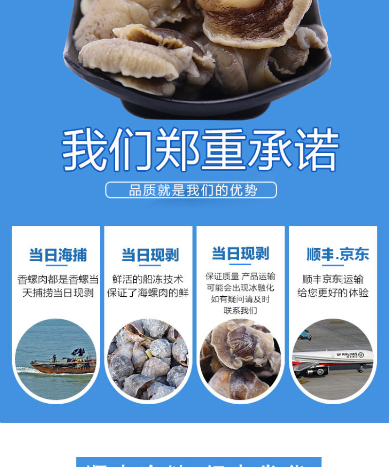 包邮一件代发现剥香螺肉海螺肉去内脏