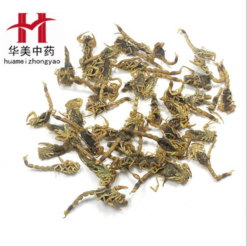 全虫@【华美中药】中药材批发供应【清水全蝎】全虫蝎子