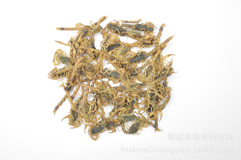 全虫@【华美中药】中药材批发供应【清水全蝎】全虫蝎子