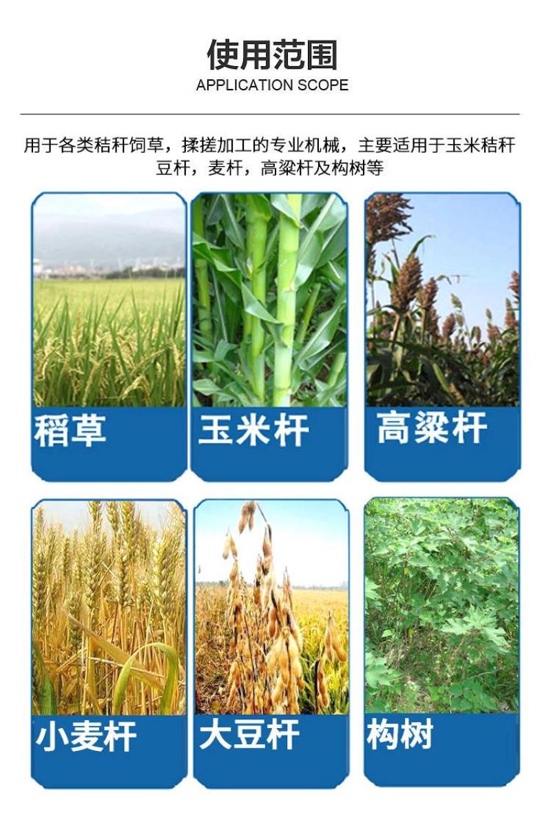 固定式青储粉碎揉丝机秸秆揉丝机隆丰直销