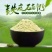纯铁皮石斛粉破壁食用枫斗超细粉500g