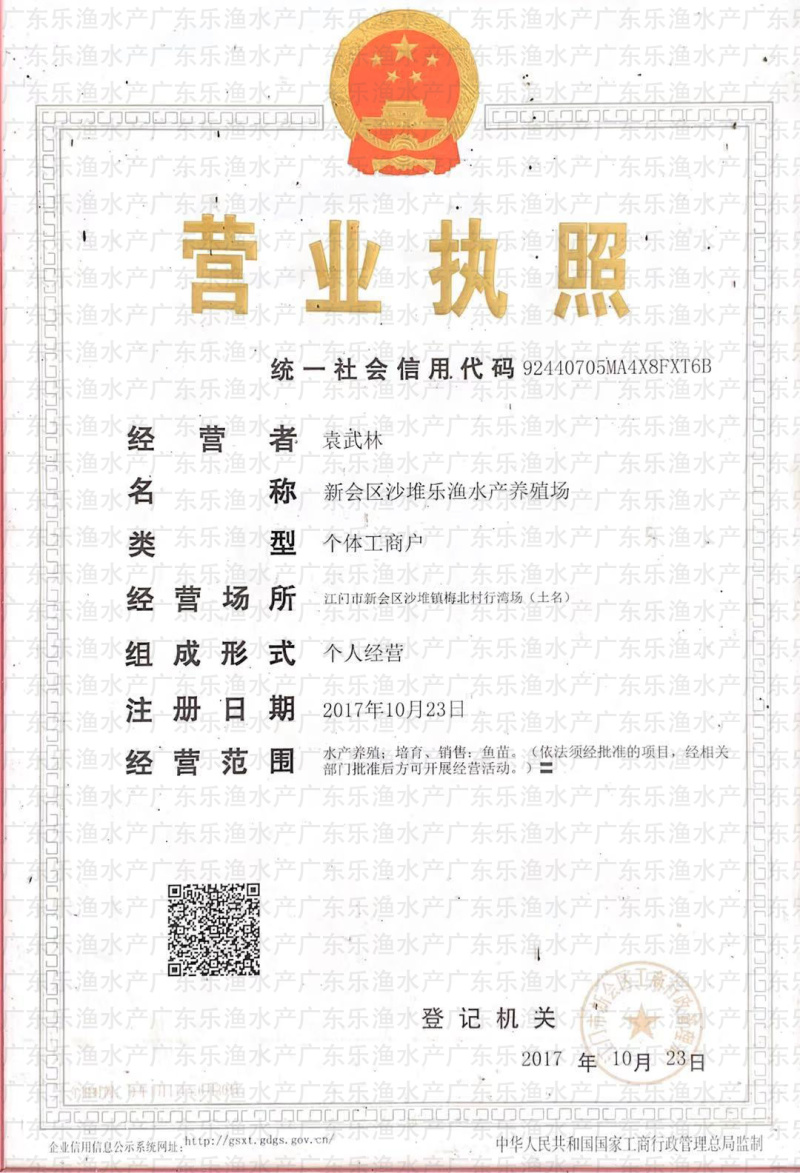 杂交黄骨鱼苗黄颡鱼苗全雄黄辣丁黄桑鱼苗。