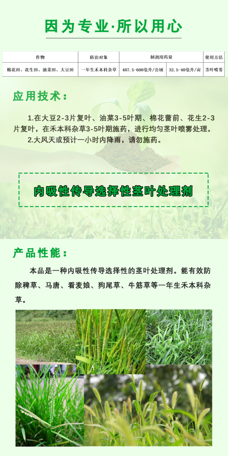 精喹禾灵芝麻除草剂大蒜葱辣椒姜西瓜茄子禾本科杂草除草剂