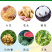 先正达适乐时翠影咯菌腈25克/升根腐病立枯病枯萎病杀菌剂