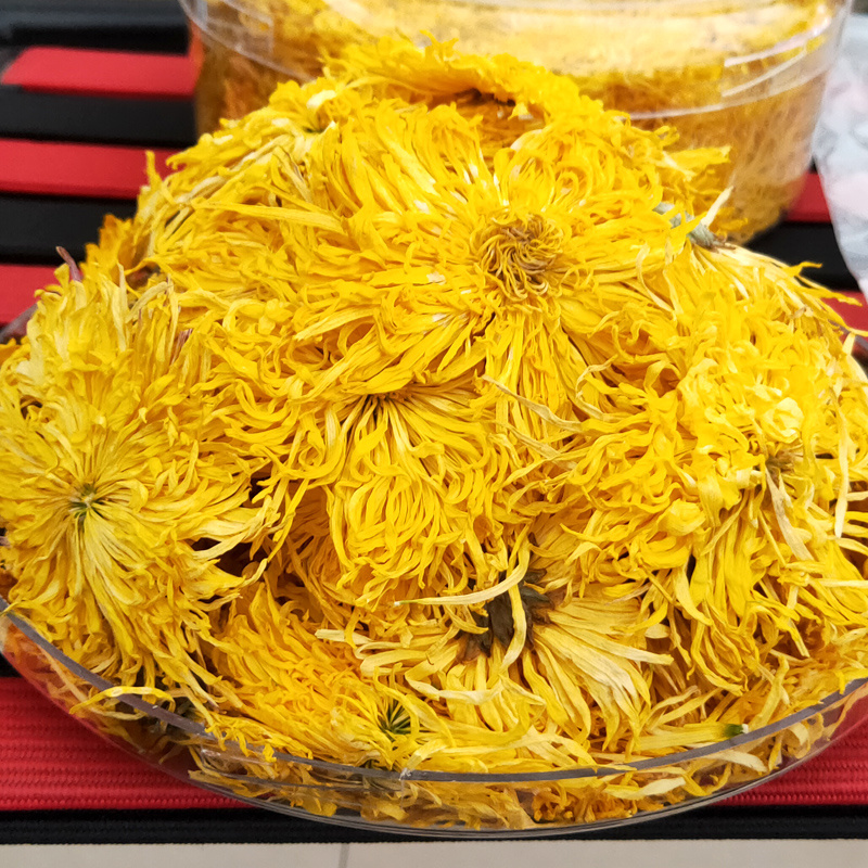 金丝皇菊大黄菊黄山皇菊花金丝皇菊