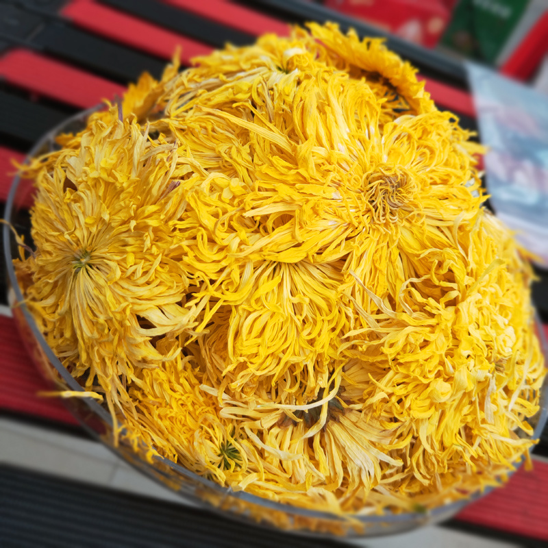 金丝皇菊大黄菊黄山皇菊花金丝皇菊