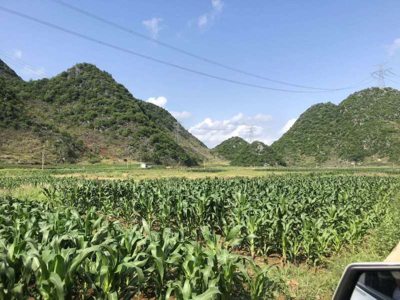文山广南县500亩水浇地出租