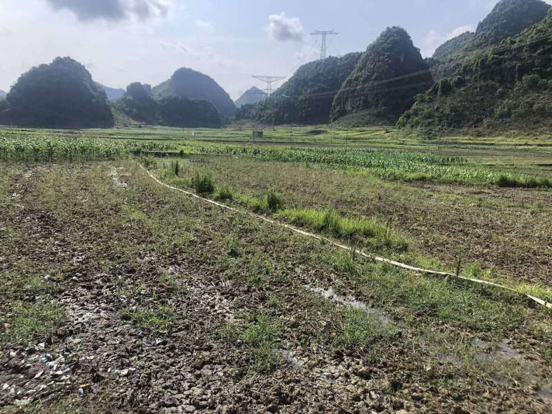 文山广南县500亩水浇地出租