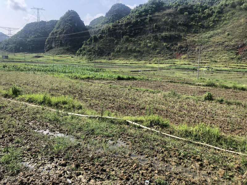 文山广南县500亩水浇地出租