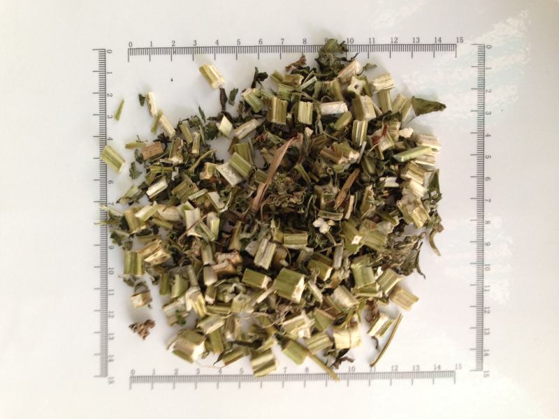 益母草种子纯新货高产抗病提供种植技术量大优惠