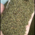 蒲公英种子2020年纯新货发芽率90%以上提供种植技