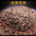 蒲公英种子2020年纯新货发芽率90%以上提供种植技