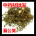 蒲公英种子2020年纯新货发芽率90%以上提供种植技