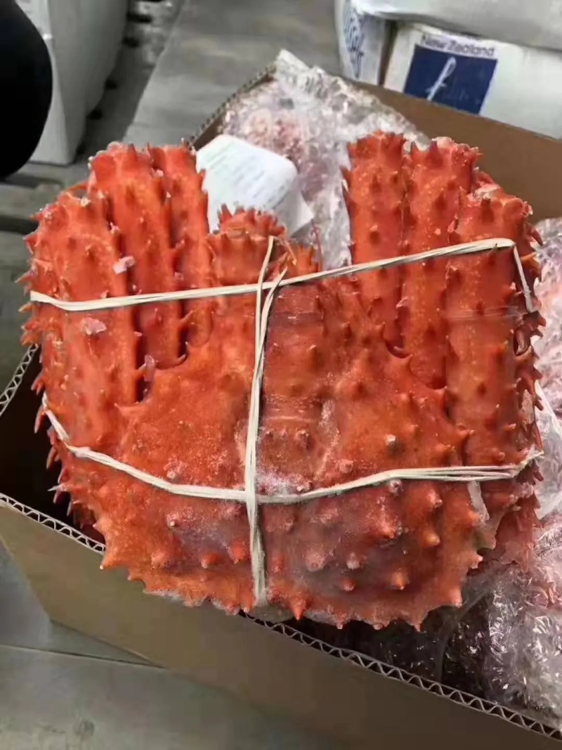 熟冻帝王蟹智力进口熟冻帝王蟹