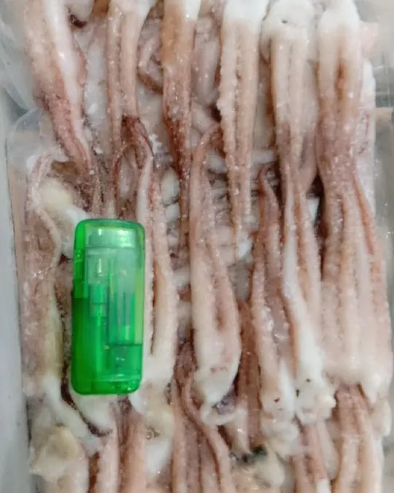新鲜生鱿鱼须冷冻鱿鱼头鱿鱼爪鱿鱼足烧烤二本足