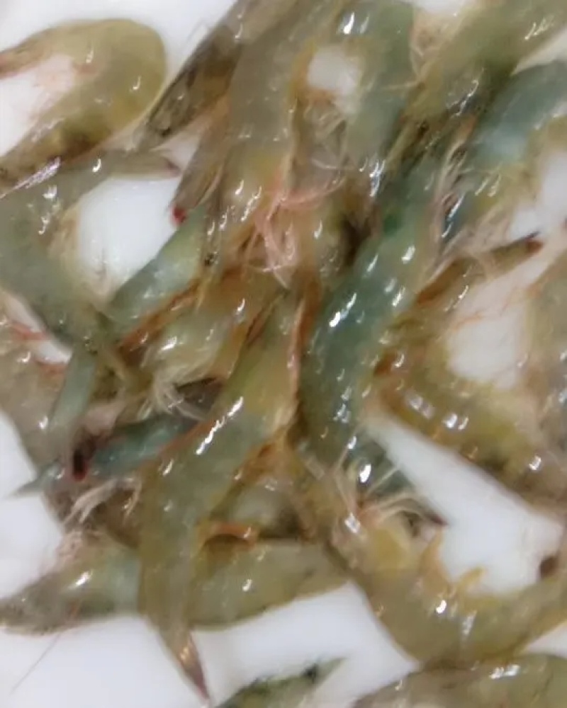 鲜活南美对虾大虾超大海虾鲜活冷冻白虾对虾基围虾大虾新