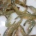 鲜活南美对虾大虾超大海虾鲜活冷冻白虾对虾基围虾大虾新